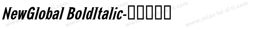 NewGlobal BoldItalic字体转换